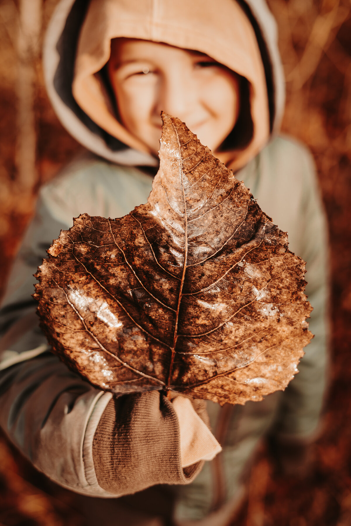 Nature photography - Amanda Nicholle Photography