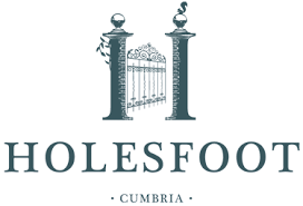 Holesfoot Logo Website