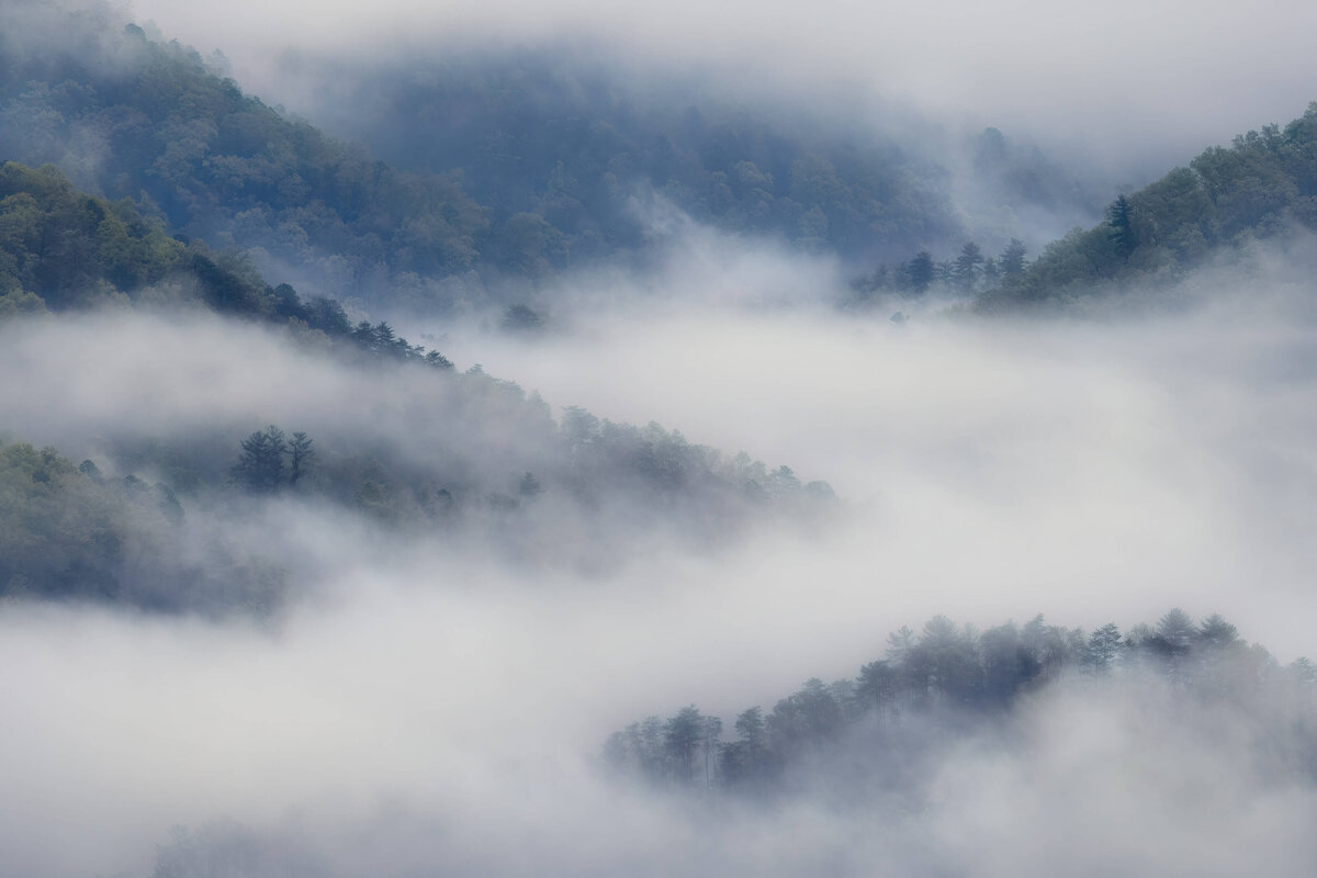 2023.04-Nature-TN-Smoky-Mountains-NP-Chrissy-Donadi-Landscape-Photography-Clear-Spring-Fog-Layers-Trees