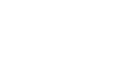 All in Place Organizing