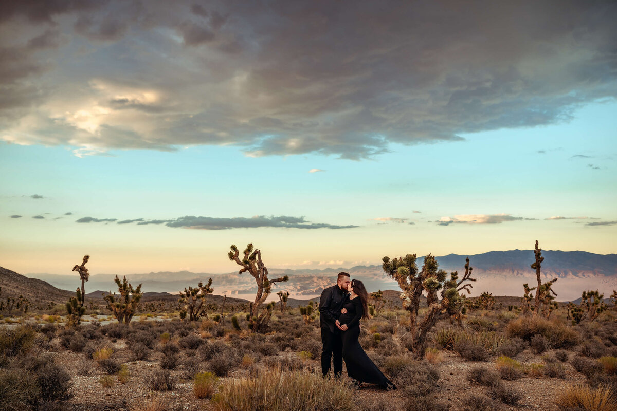 maternity-session-with-joshua-trees