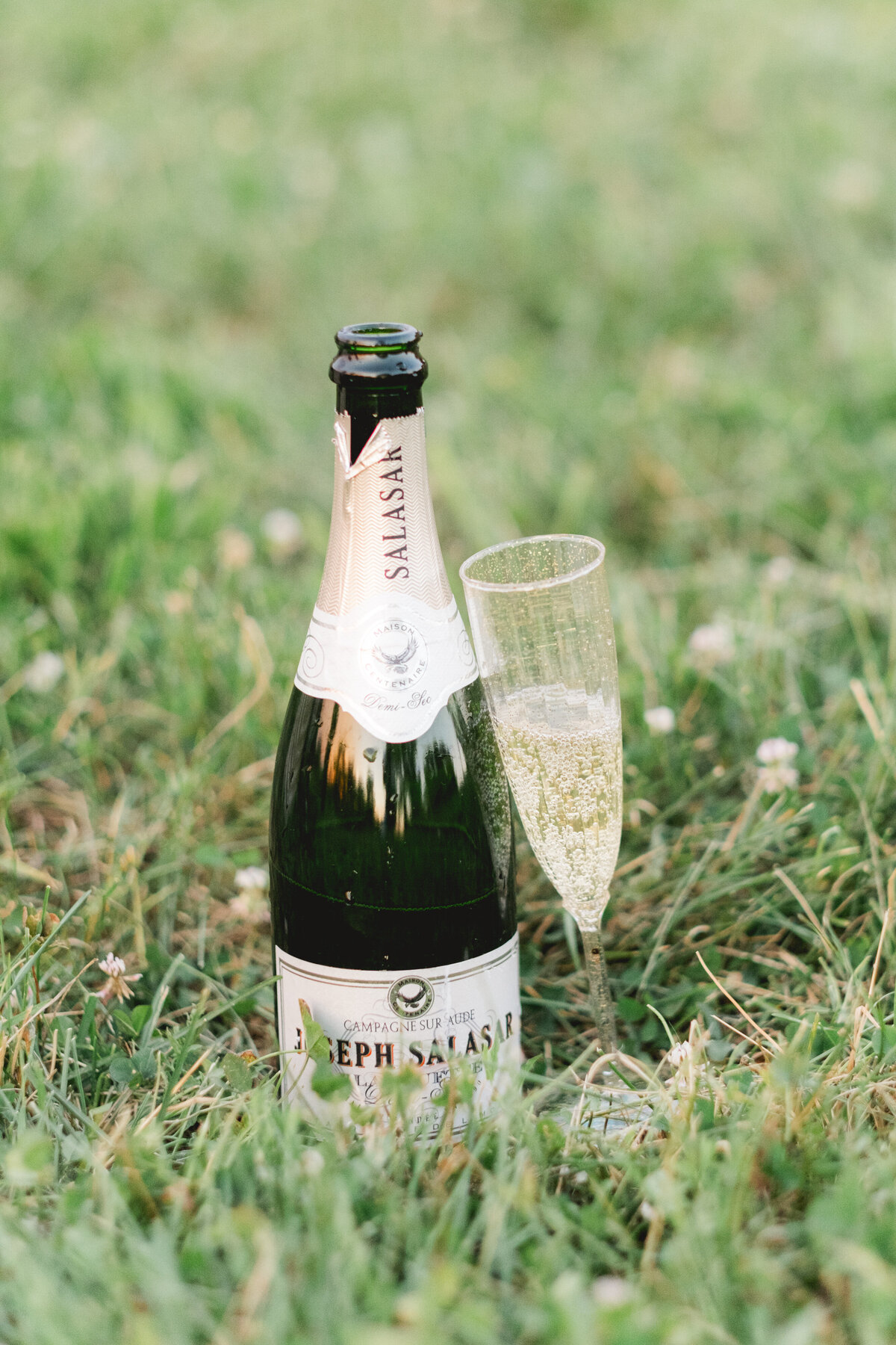 opened champagne bottle and champagne glass nestled in the grass