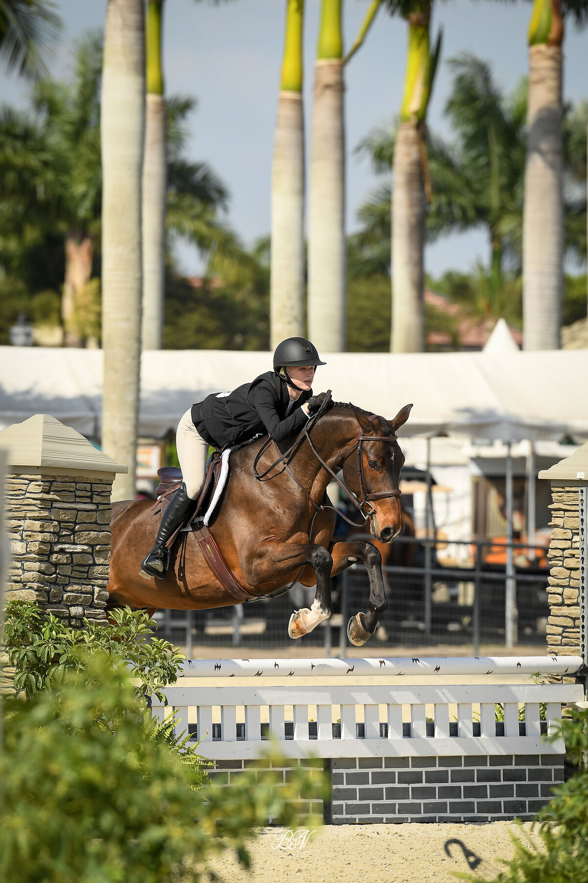 CJ08-WEF23-7432