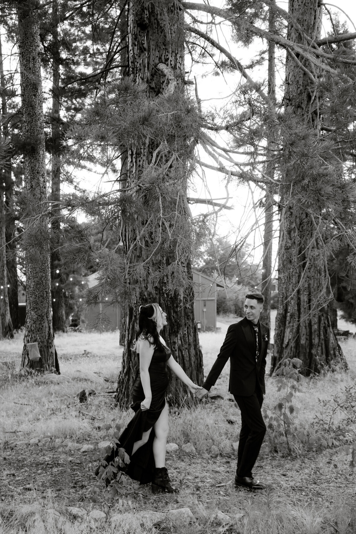 Black and white of a bride and groom walking in the mountains of Oak Glen California holding hands while the groom looks back at his bride