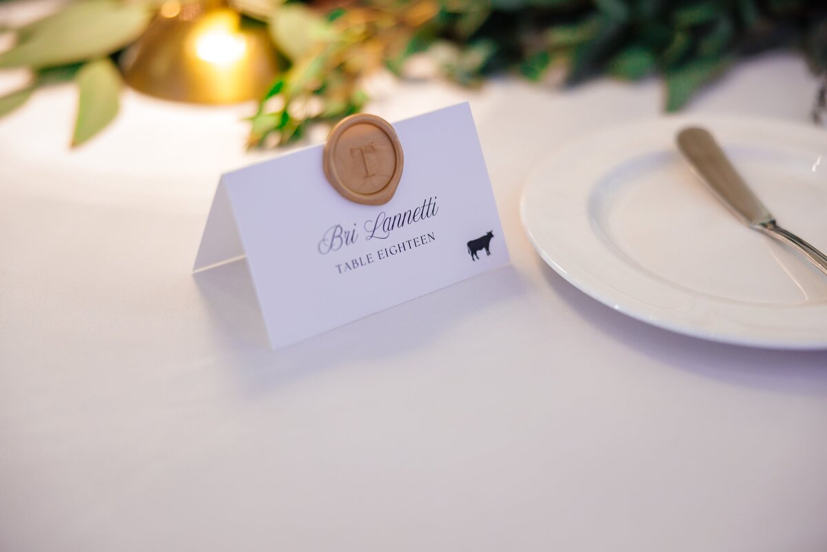 virginia-wedding-planner-bri-and-ben-founders-inn-and-spa-48