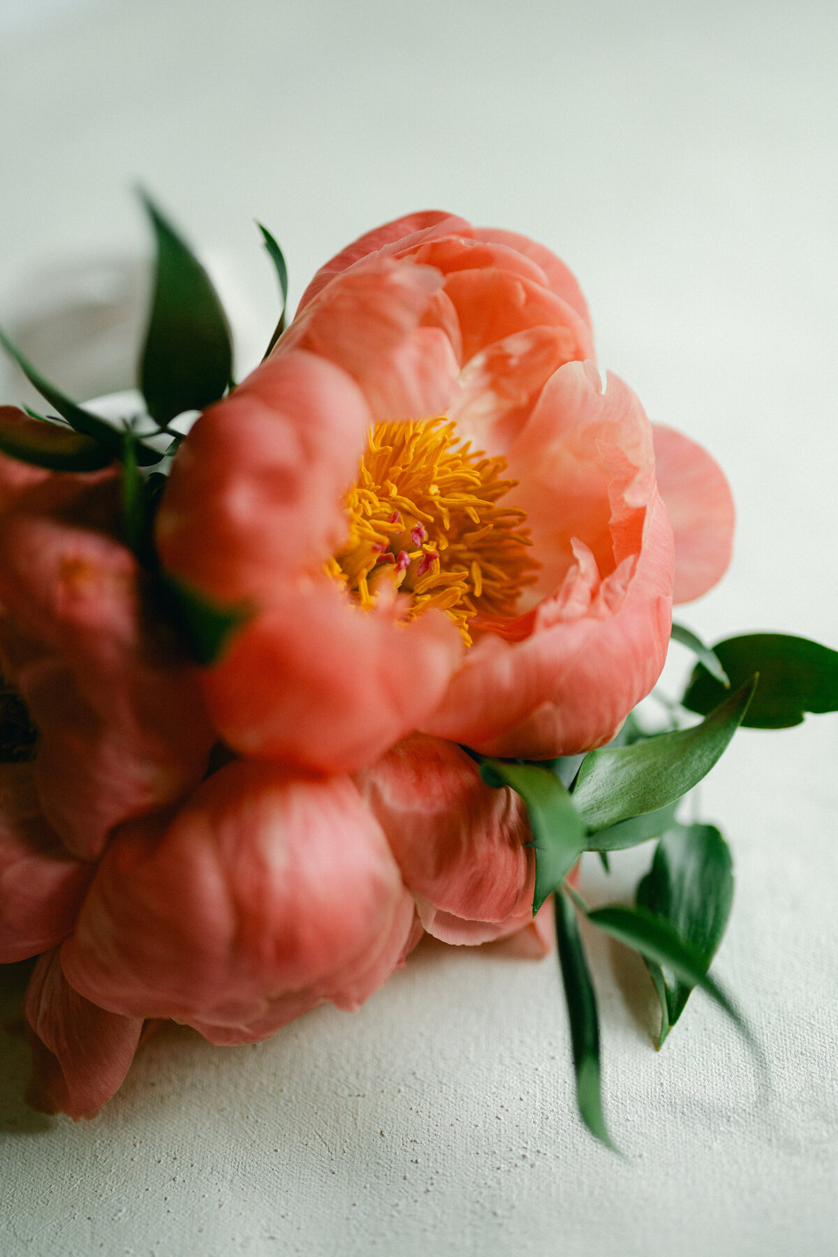saratoga-springs-wedding-photographer-molli-photo4