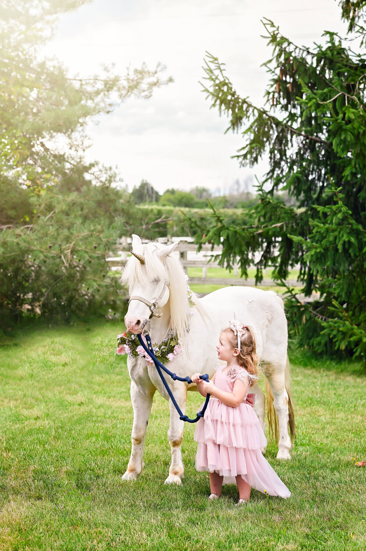 KT-Unicorn-DurhamRegion-Toronto1