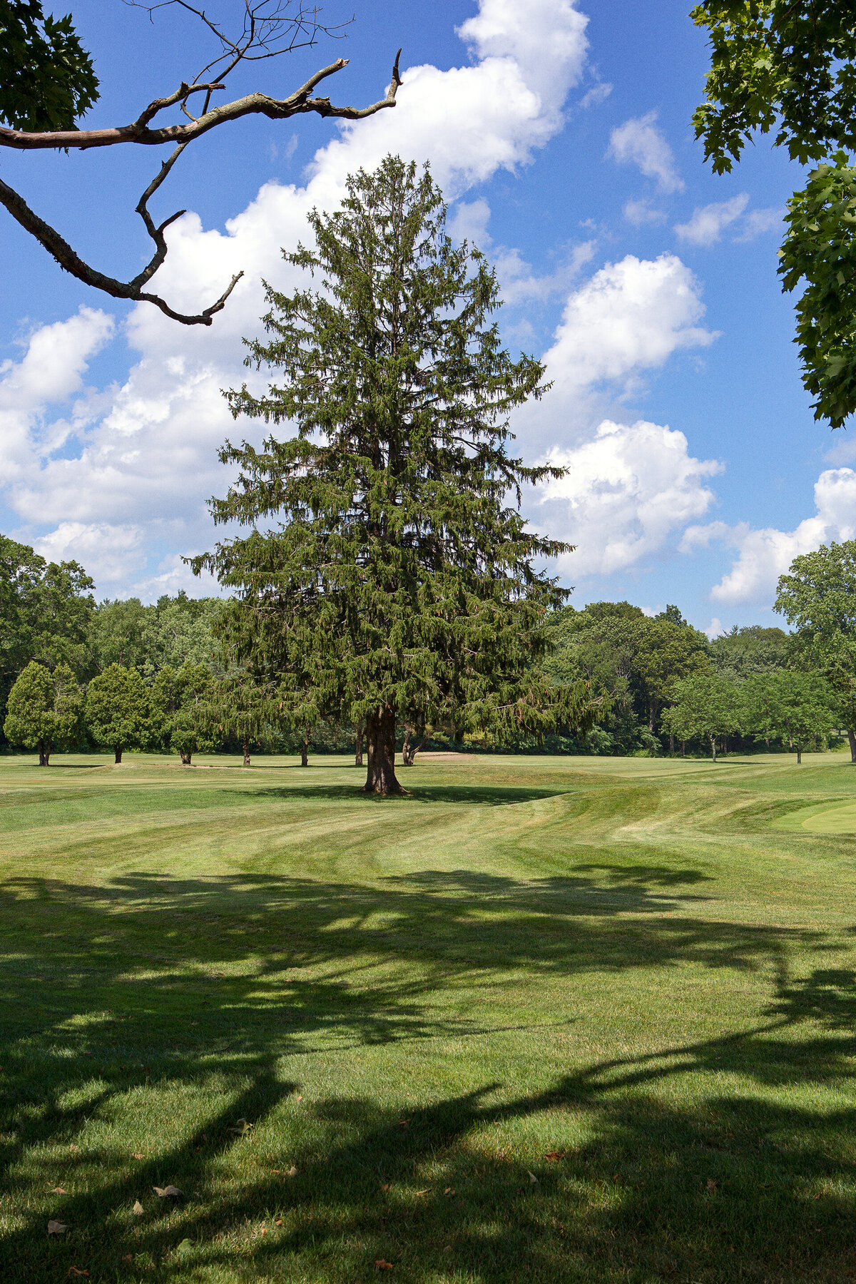 20130703_PROJECT_0084_01