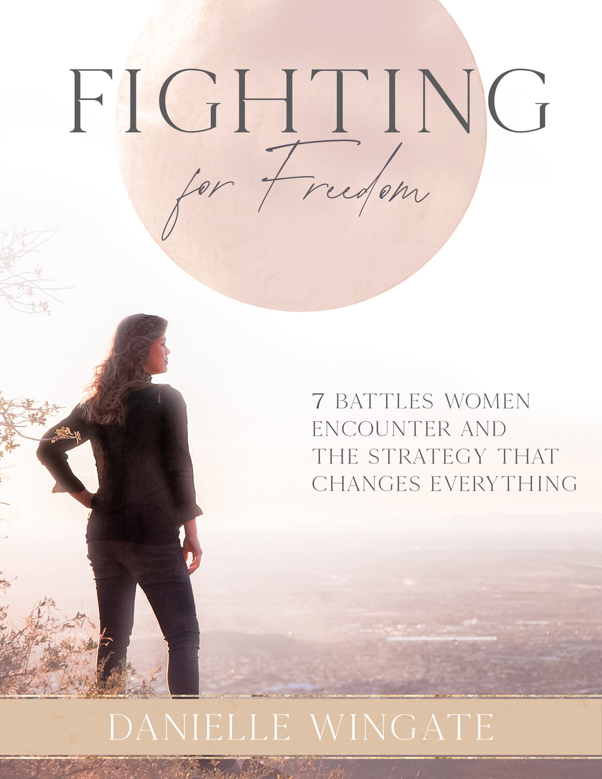 Fighting For Freedom Cover Project File (2)