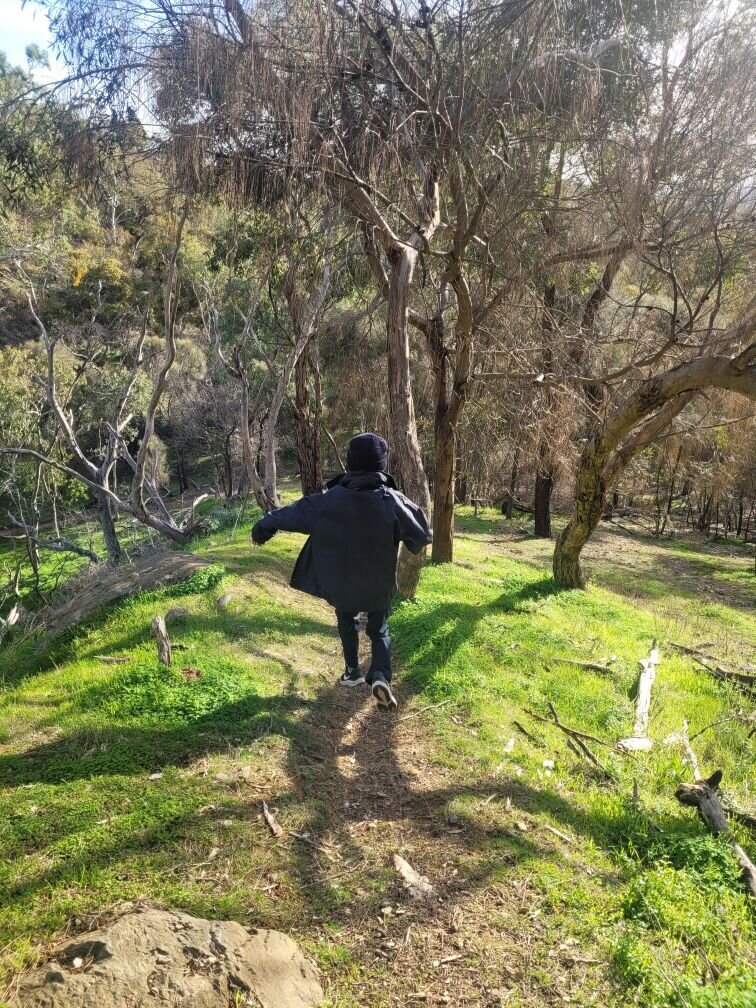 Walk n talk