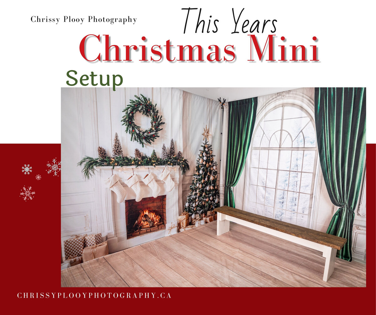 Christmas Backdrop 2025