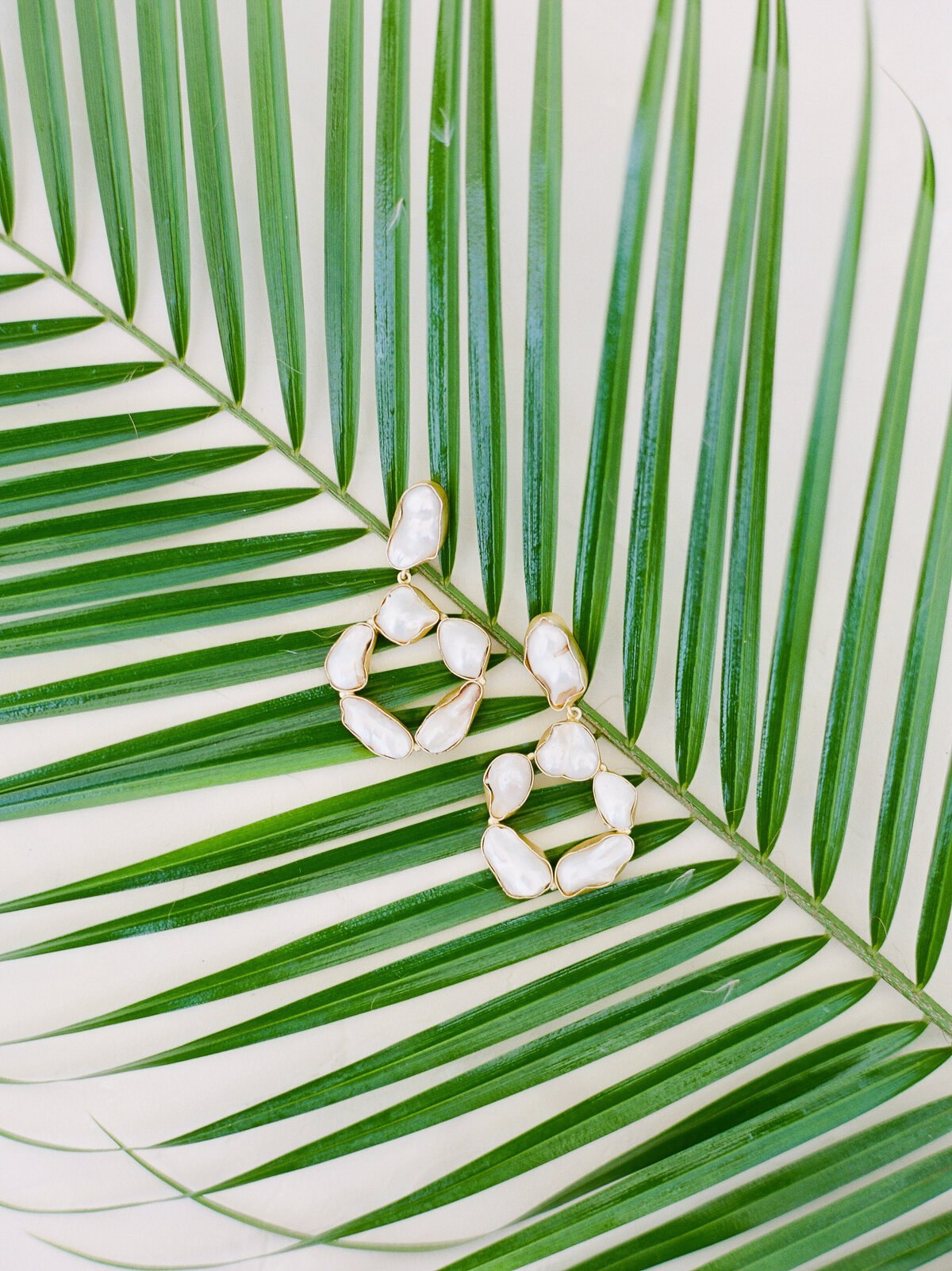 palm branch with earrings - tropical wedding