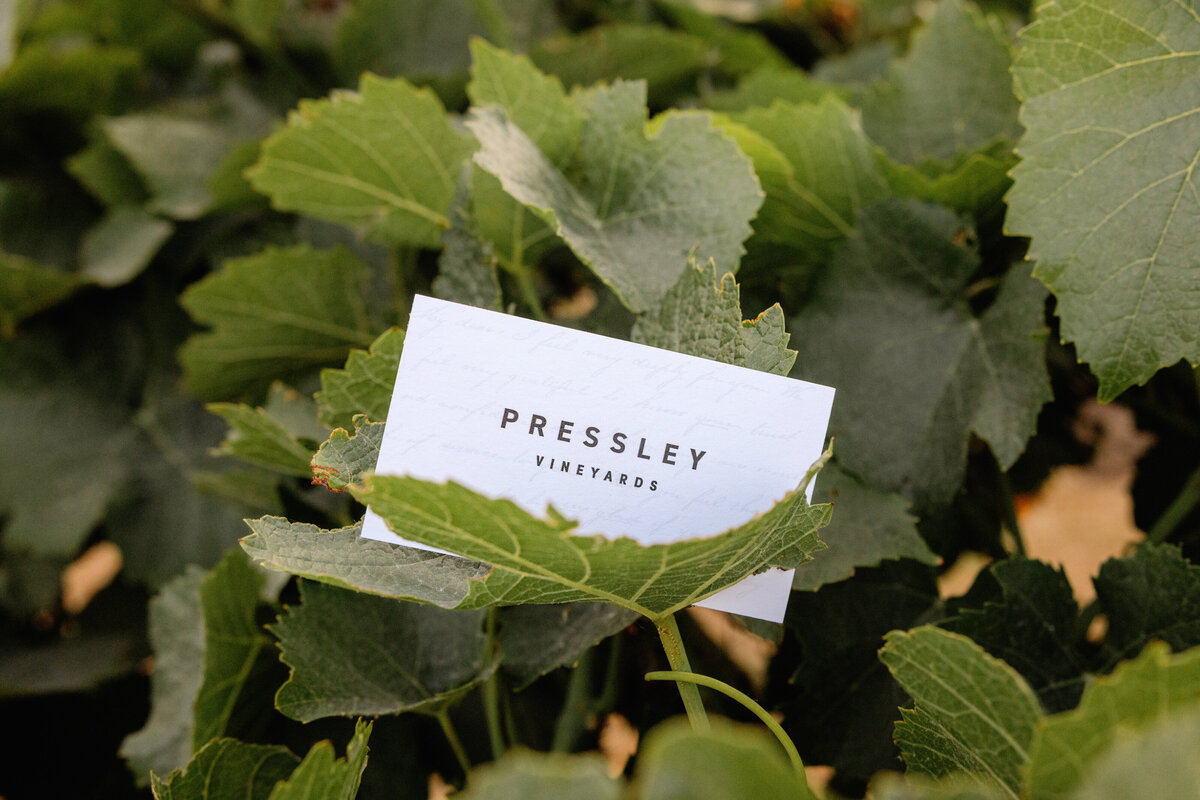 nicolehodgsonphotography_brand_pressley-53