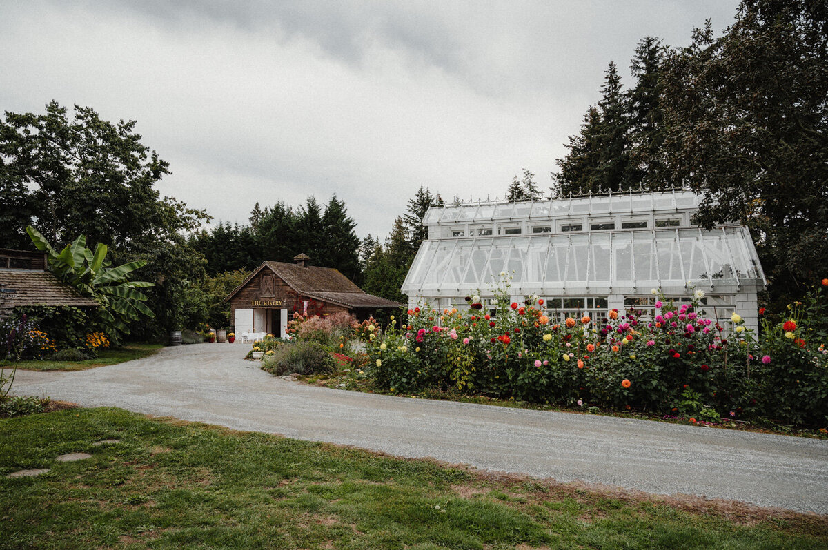 Stratling Vineyard-6