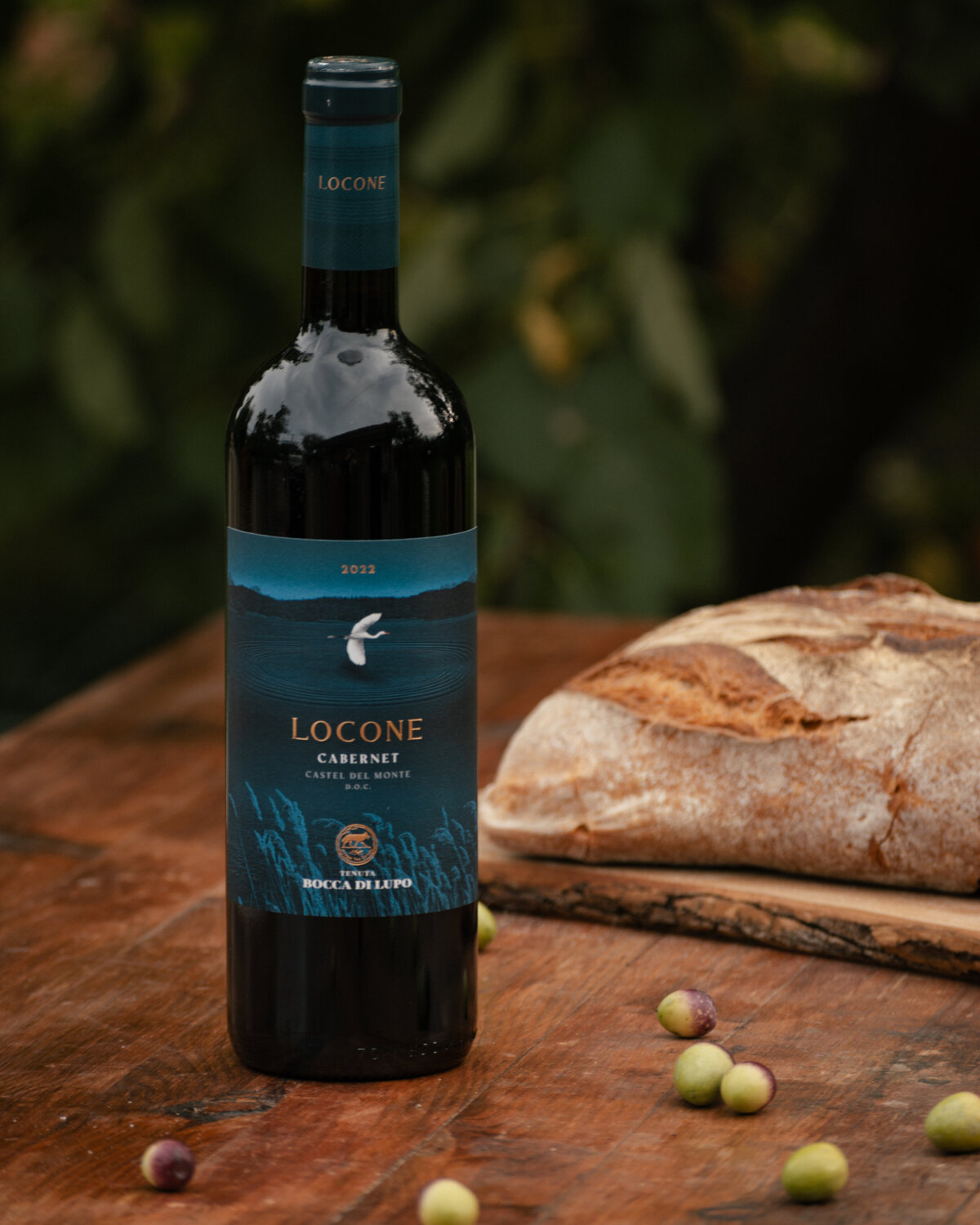 24Nov2025_BoccaDiLupo-79