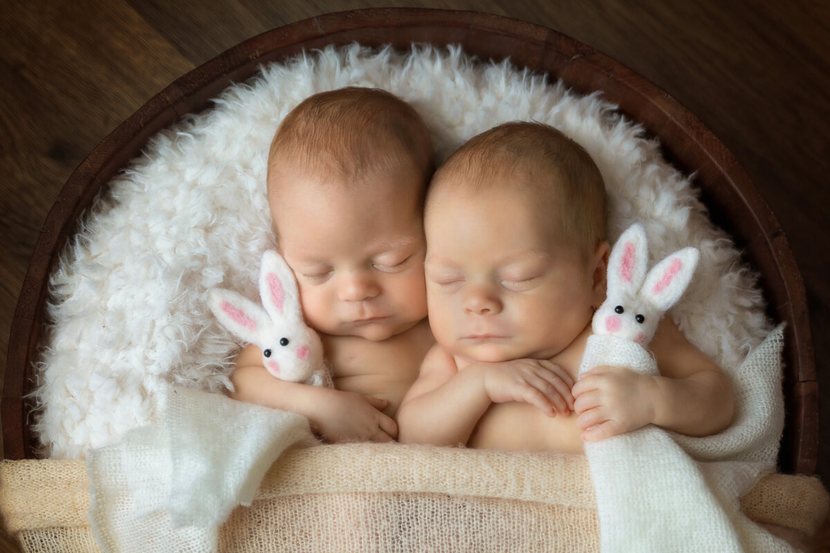 Newborn Photographer, two baby siblings are asleep together holding knit bunnies