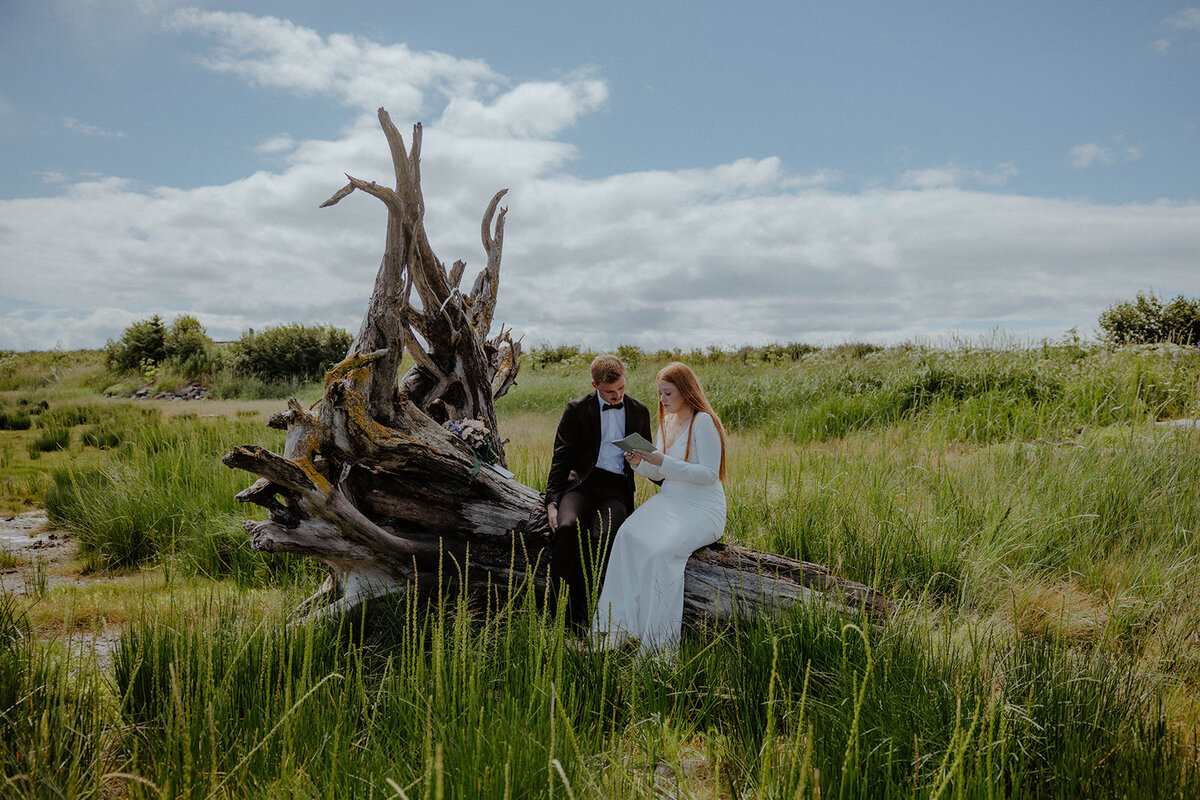 Alaskan-wedding-photographer4U1A0031_websize