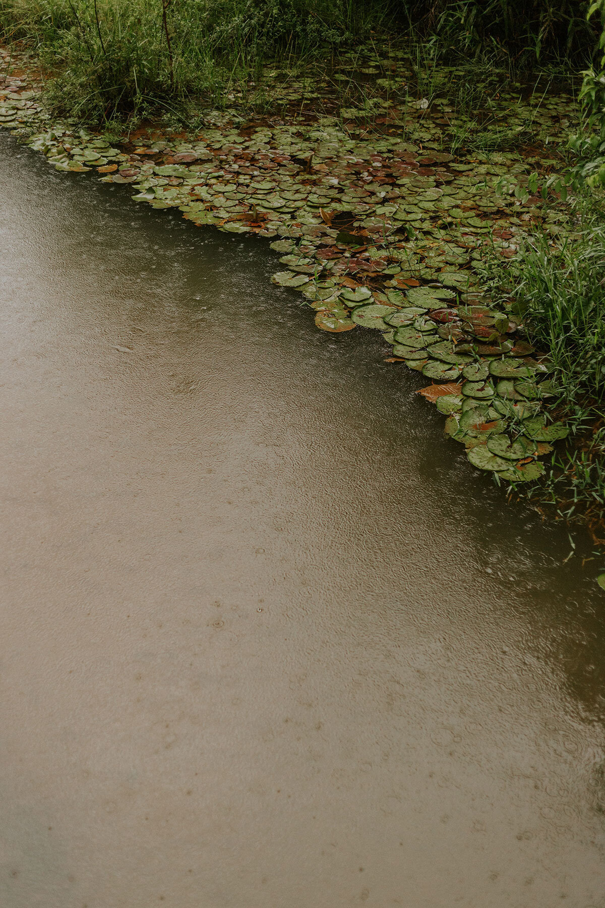 lucas-mendes-Cb4ayhgnxv8-unsplash