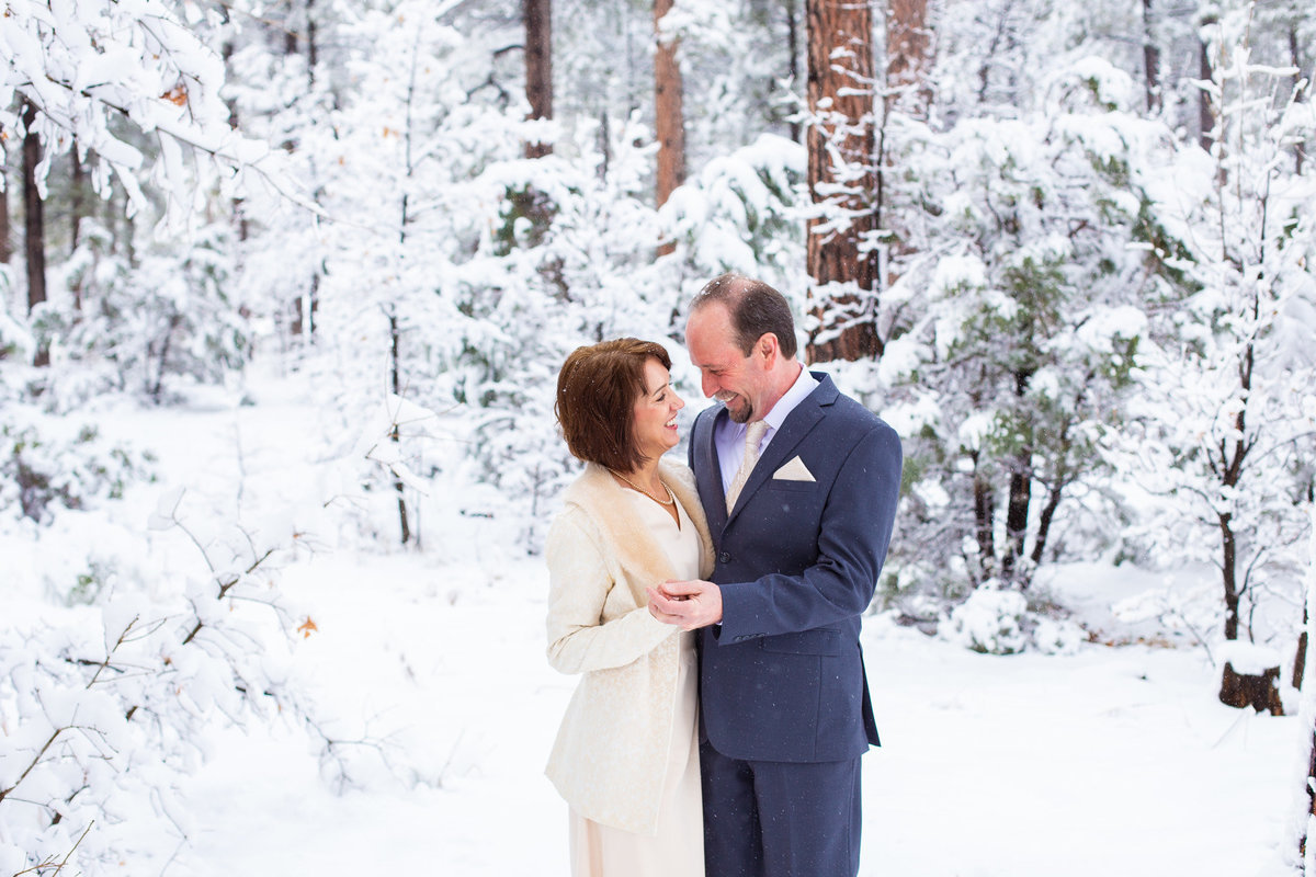 show-low-wedding-snow-deborah-allen-photography-00002