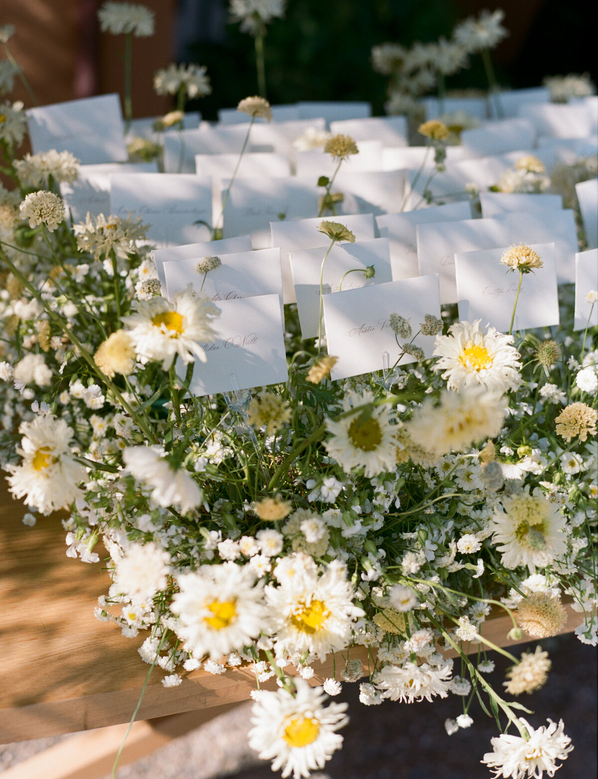 wild-fleur-co-viansa-sonoma-wedding-florist-015