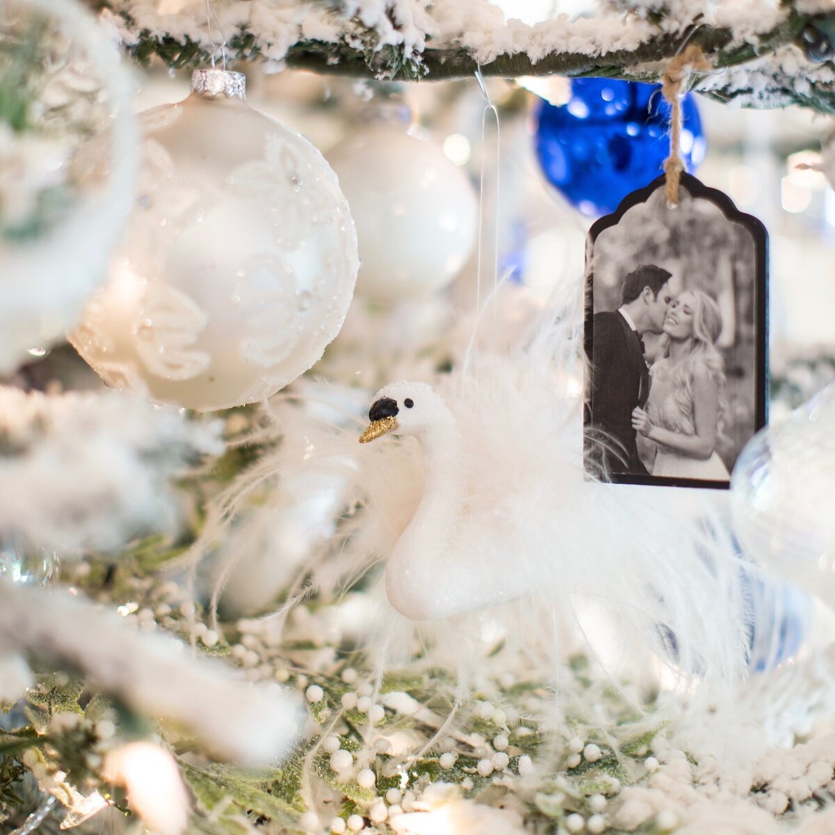Robeson Christmas 30