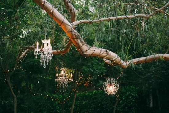 mini chandeliers hanging from trees