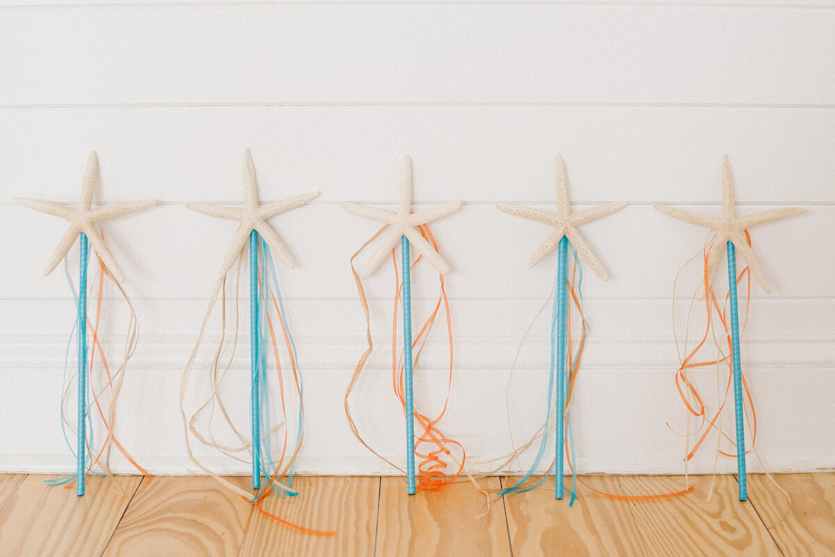 Beach-Wedding-outer-Banks23