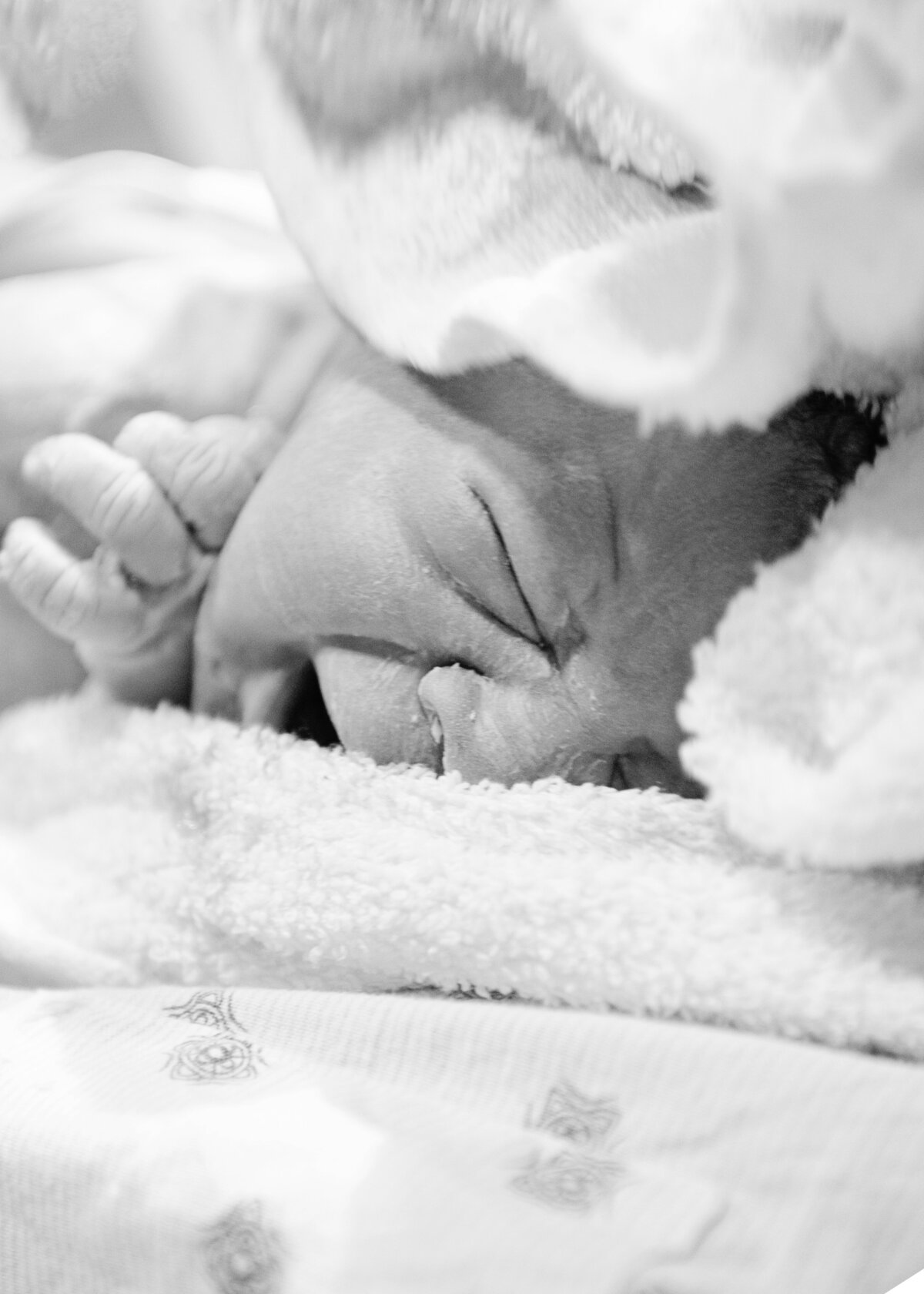 © Beck Photography 382
