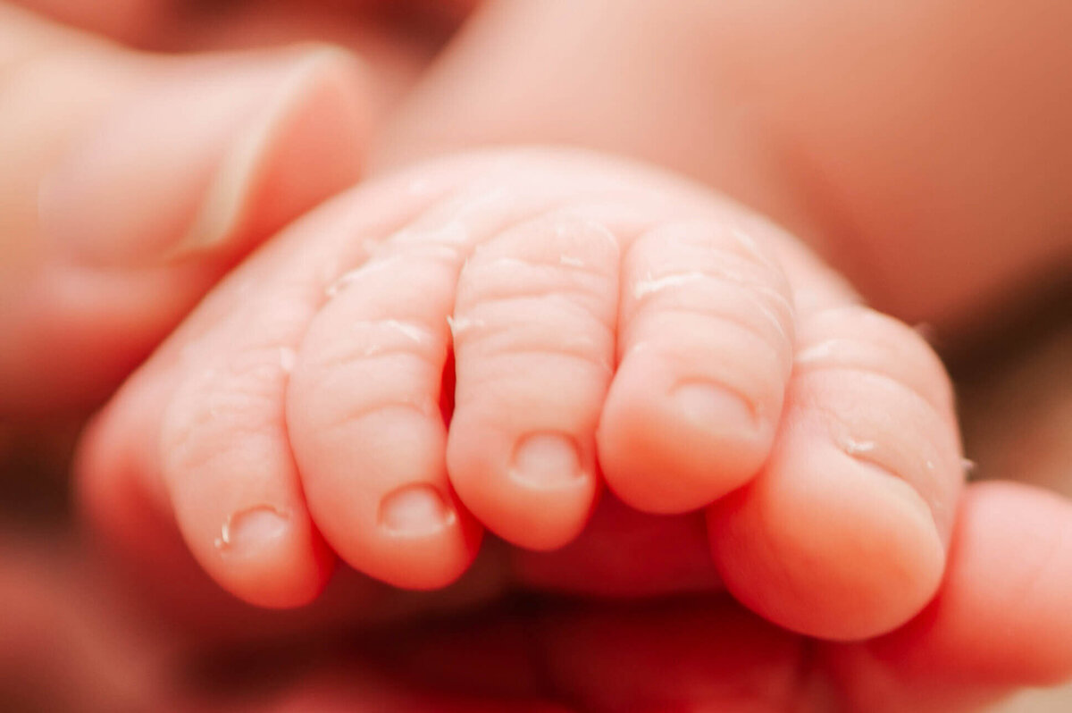 Springfield MO newborn photo of close up of newborn toes
