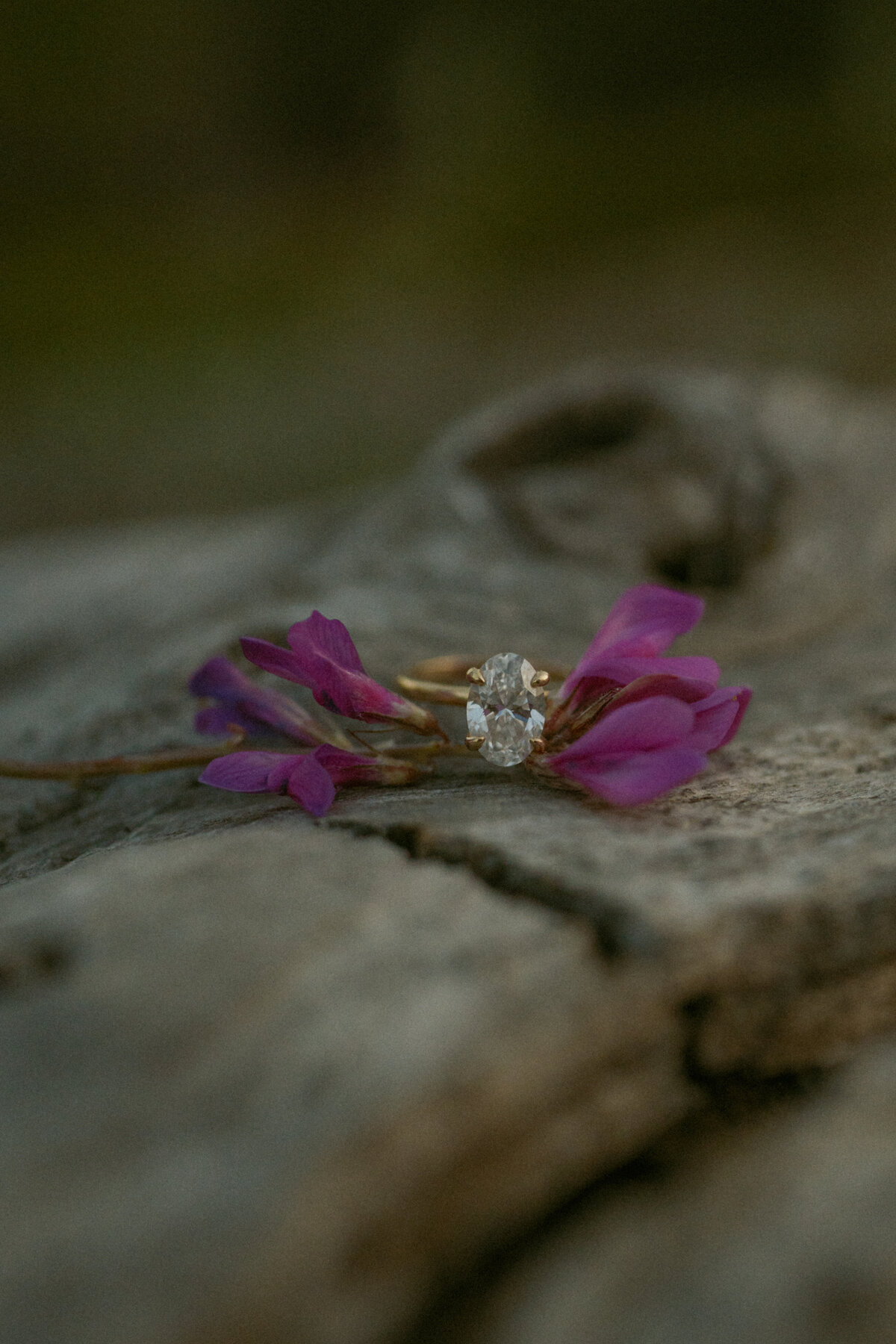 JASPER WEDDING PHOTOGRAPHER-62