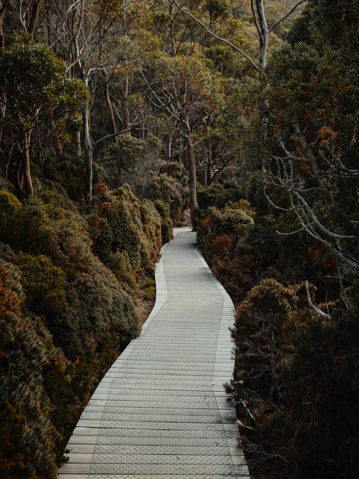 Romantic Couples Photography in South West Australia_TKR_2809