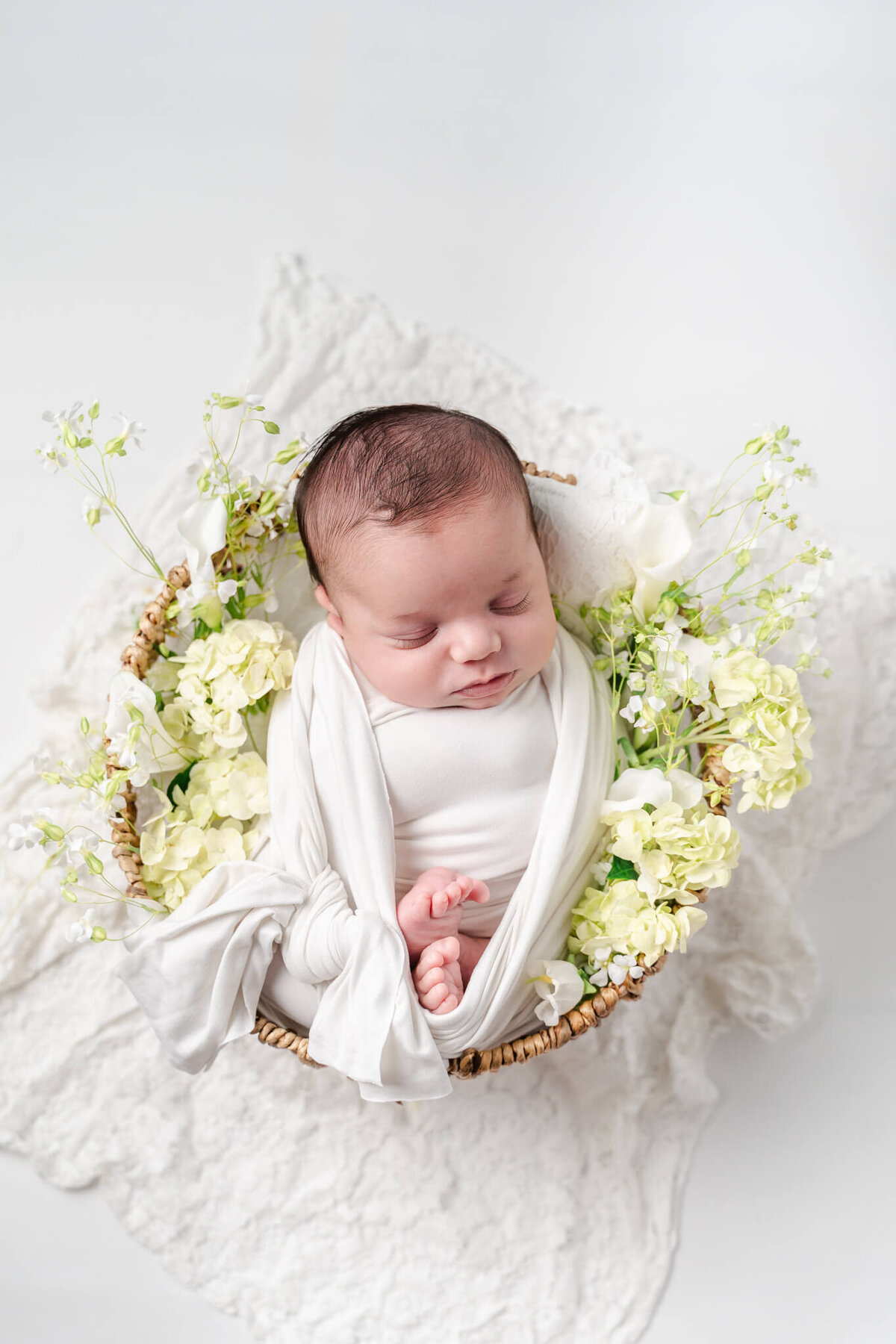 DSC08847-Edit