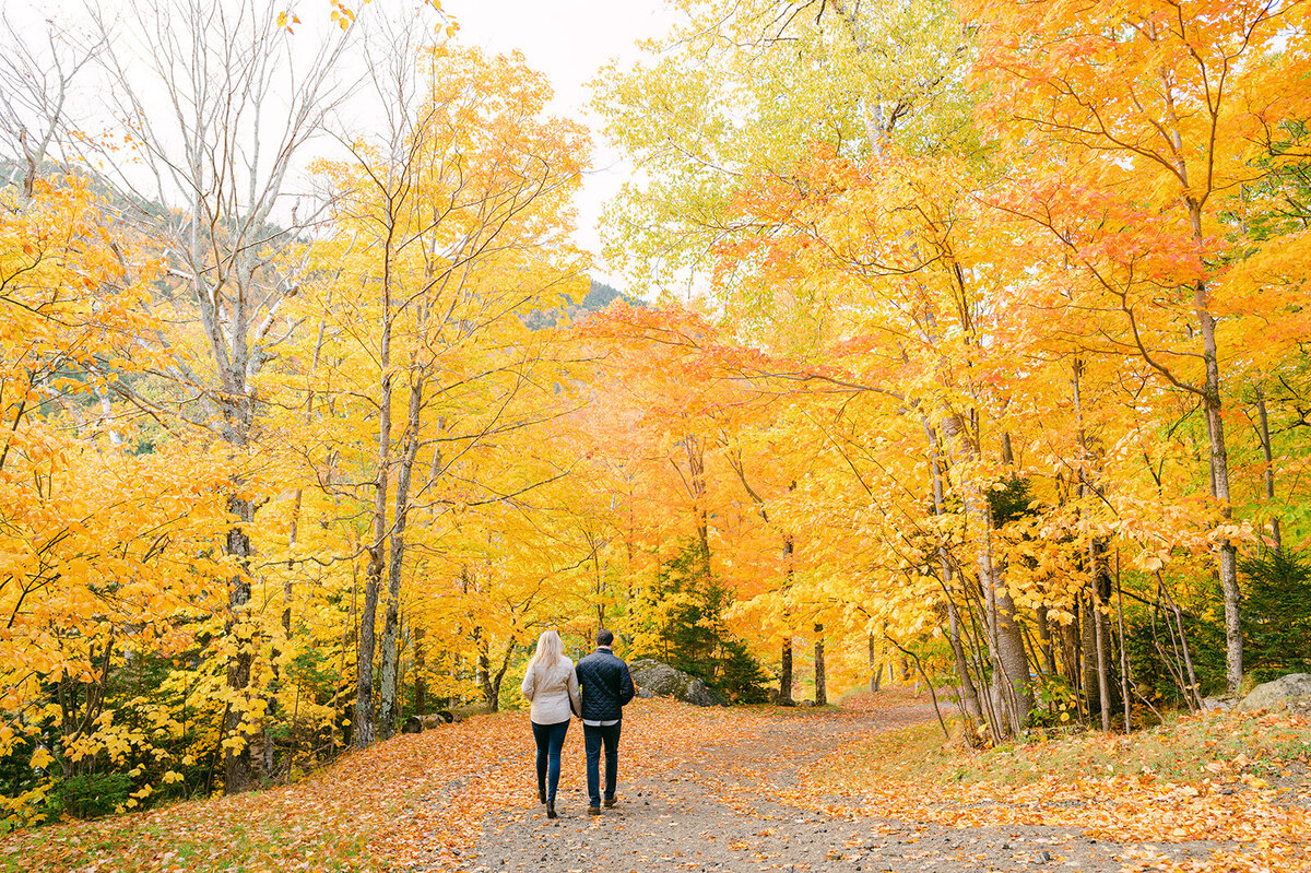Celia_Matt_Engagement_Photos-0384_websize