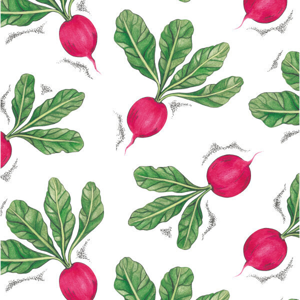 watercolor radish pattern design