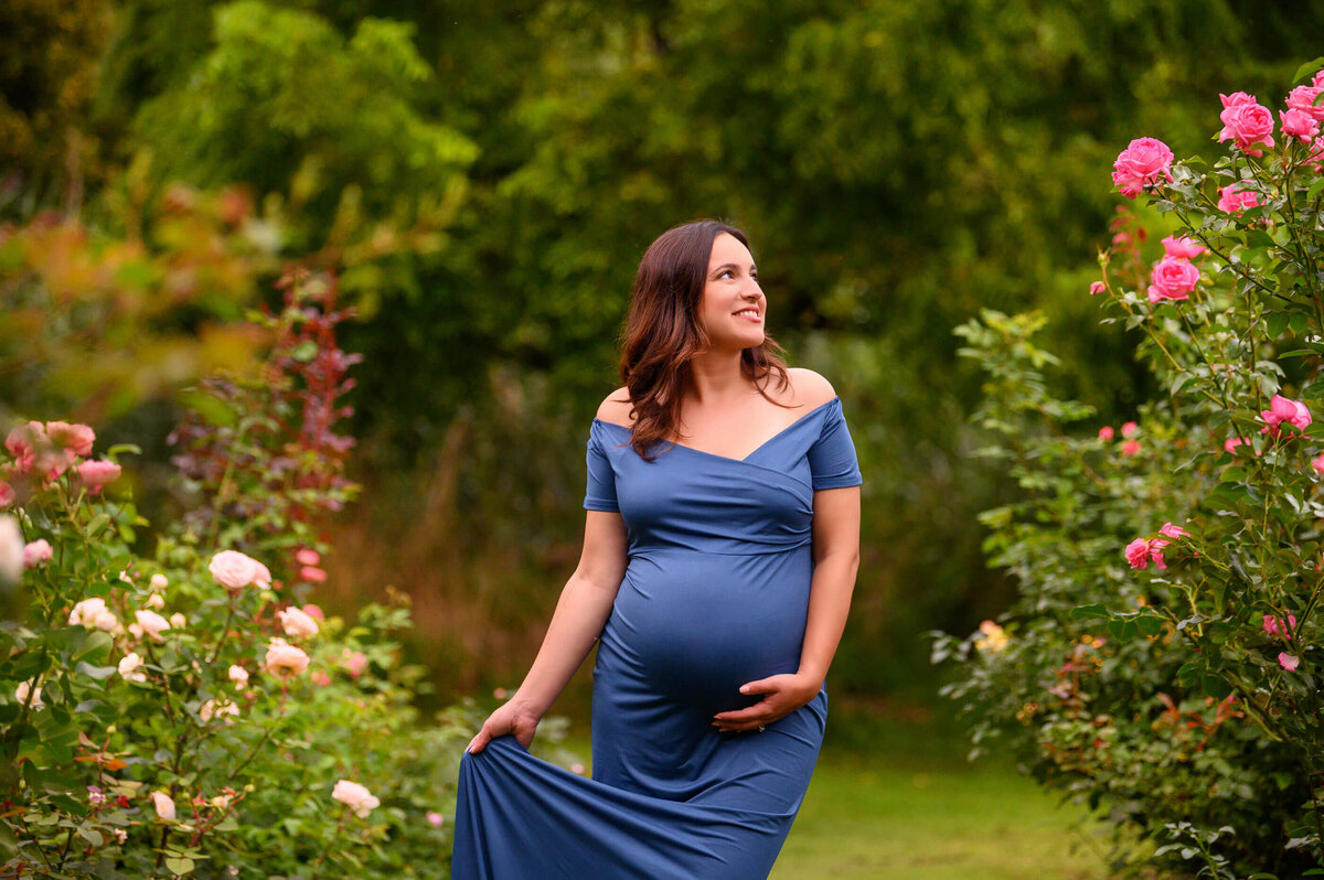 pregnant woman wearing a blue maternity dress strolling through a rose garden for her outdoor maternity photography session in Burlington, On