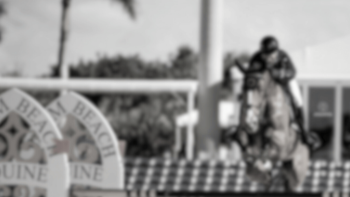 Wellington horse show results