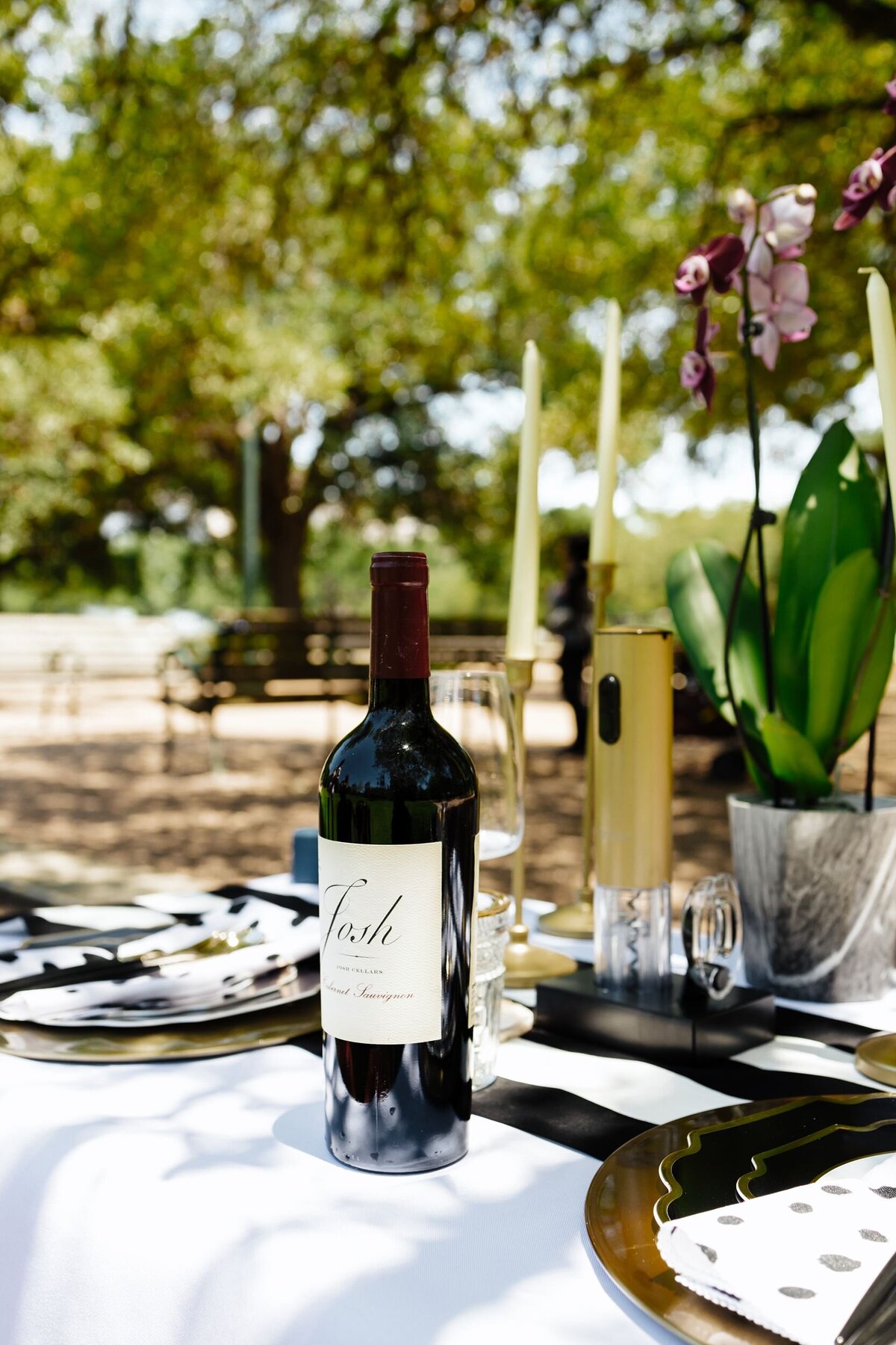 Picnic setup in park