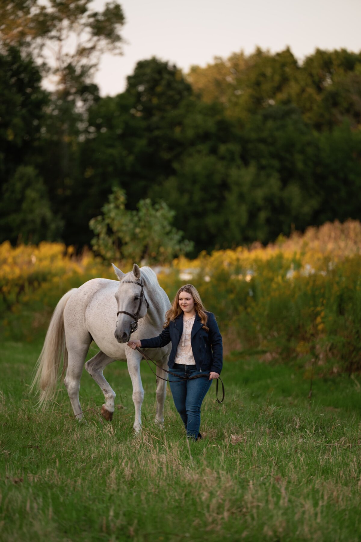 equine-portrait-plymouth-michigan-5