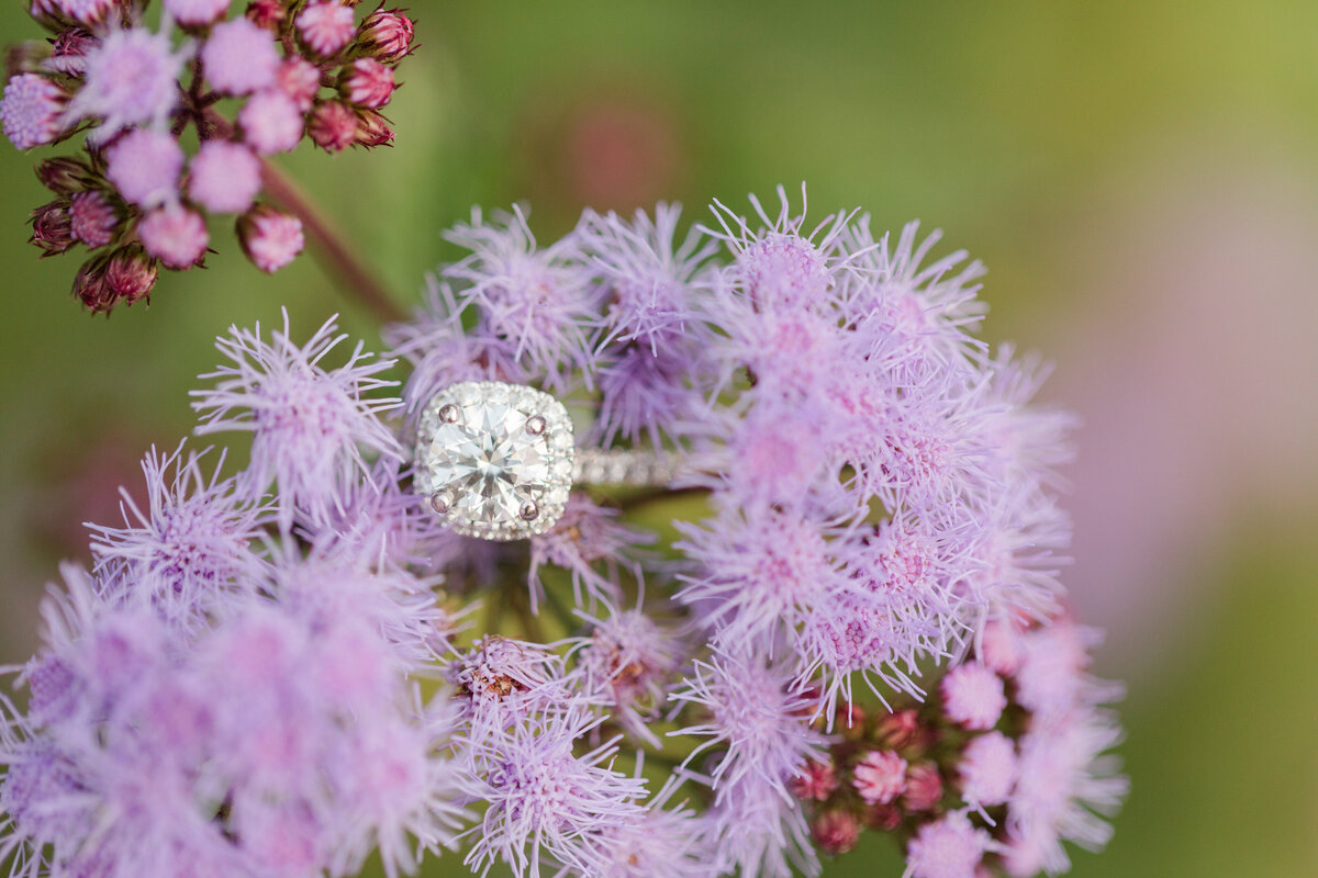 Jennifer B Photography-Phillip & Kristina-Engagement-2020-0139