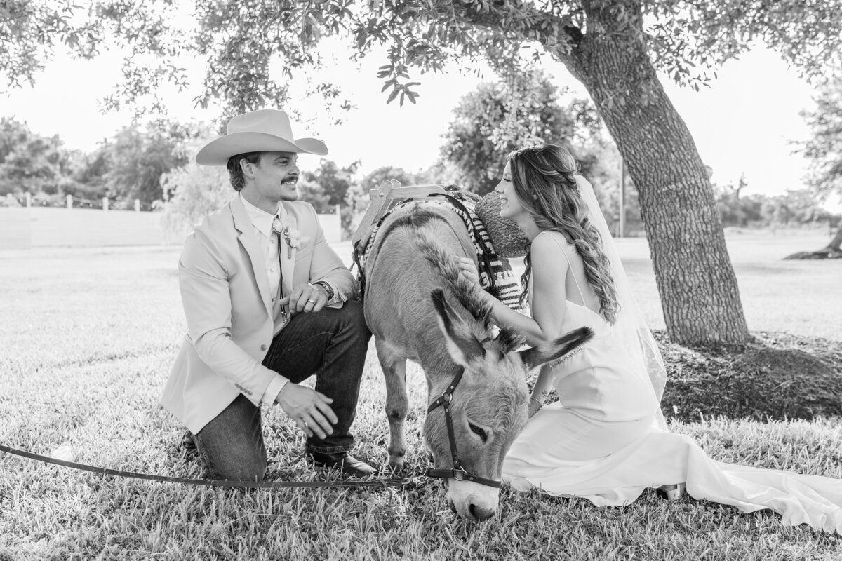 Willowynn-Barn-Wedding-Photographer-1