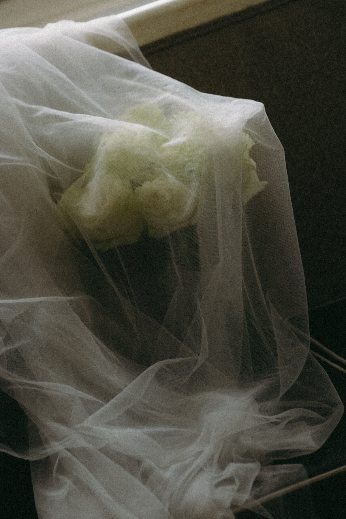 Swiss Couple, Portrait, & Wedding Gallery