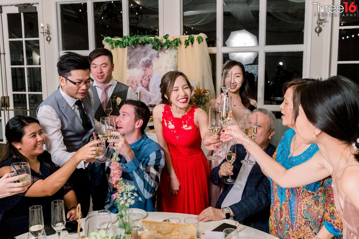 Bride and Groom toast with wedding guests
