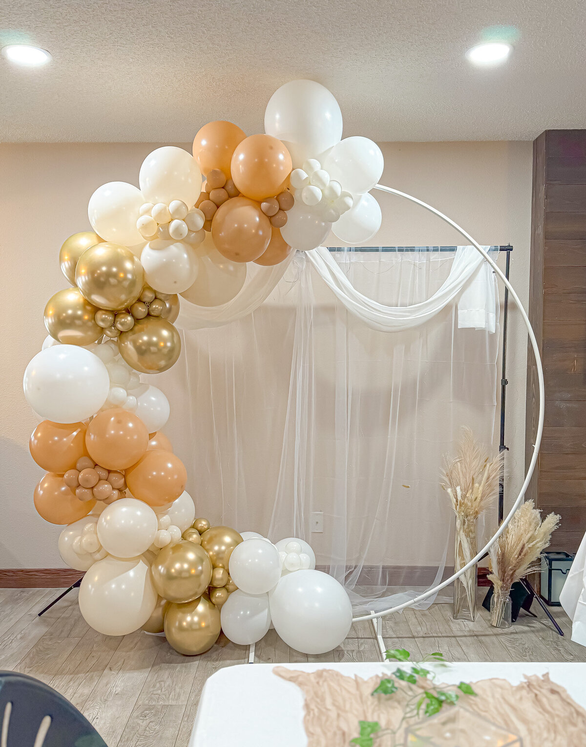 balloons-bismarck-nd-18