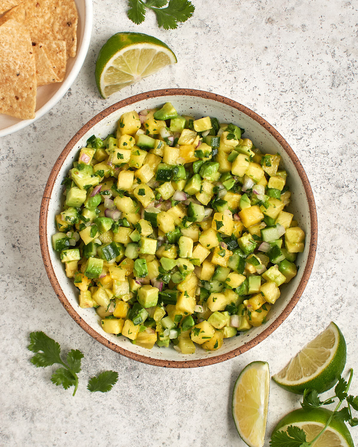 pineapple avocado salsa - hero 04