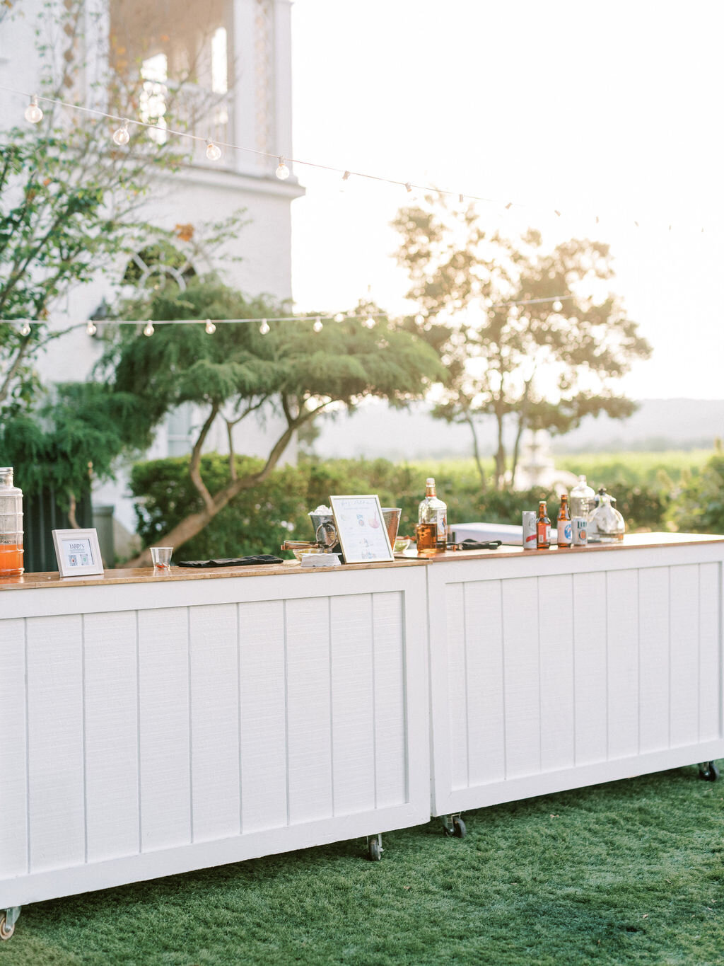 Erin&Austin_KeswickVineyardsWedding_SneakPeek-106