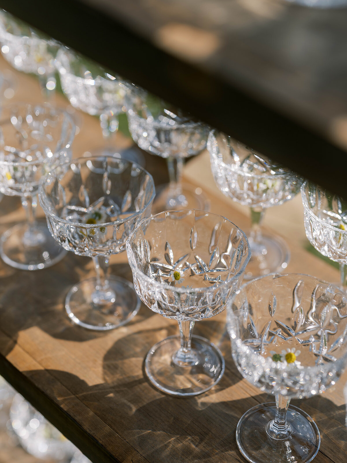 26_Lauren_Kyle_Montecito Club_Santa Barbara_Wedding_Alison Rose Events_Wedding Planner