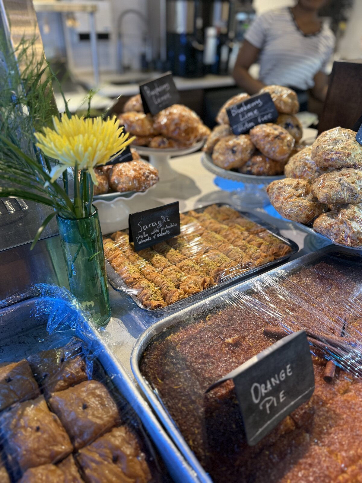 french press reginas best coffee shop