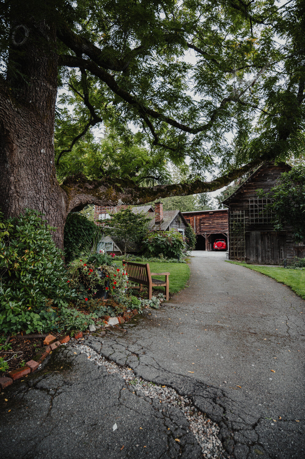 Stratling Vineyard-16