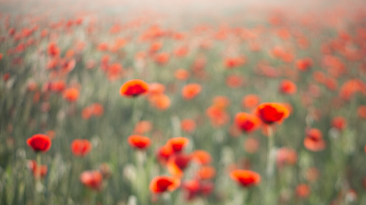 fine_art_photographer _083