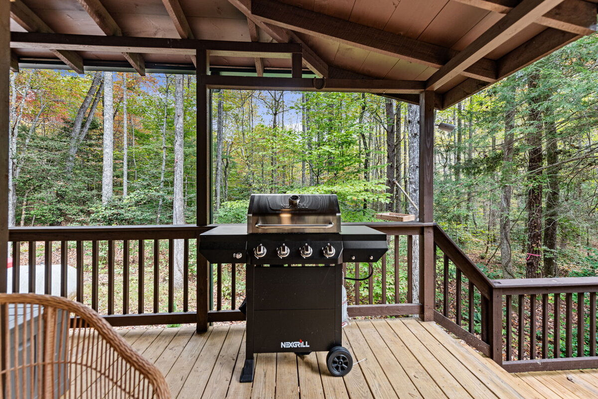 25Shady-Grove-Cabin-Blue-Ridge-GA_1397_Grill